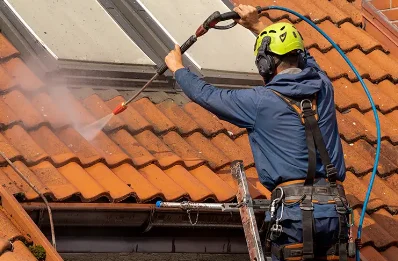 Démoussage et hydrofuge de toiture à Sallespisse